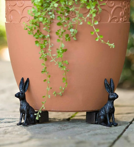 DJIWJDCDA 🔥Last Day 70% OFF - Cute Animal Shaped Pots Feet(🔥set of 3)