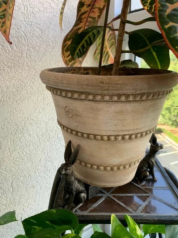 DJIWJDCDA 🔥Last Day 70% OFF - Cute Animal Shaped Pots Feet(🔥set of 3)