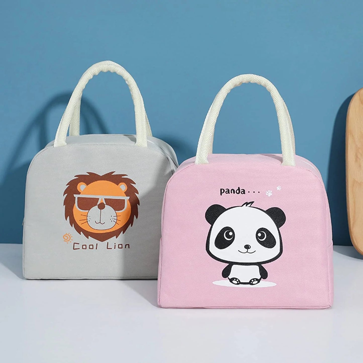 DJIWJDCDA HOT SALE🔥INSULATED TIFFIN BAG