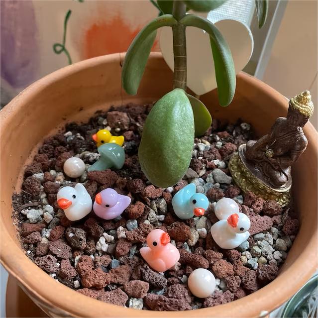 DJIWJDCDA 🦆Tiny Ducks | Challenge Hiding 100 Ducks