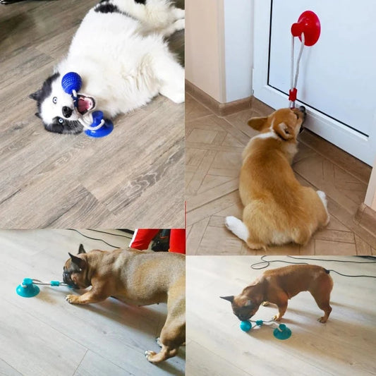 Pet teething toys