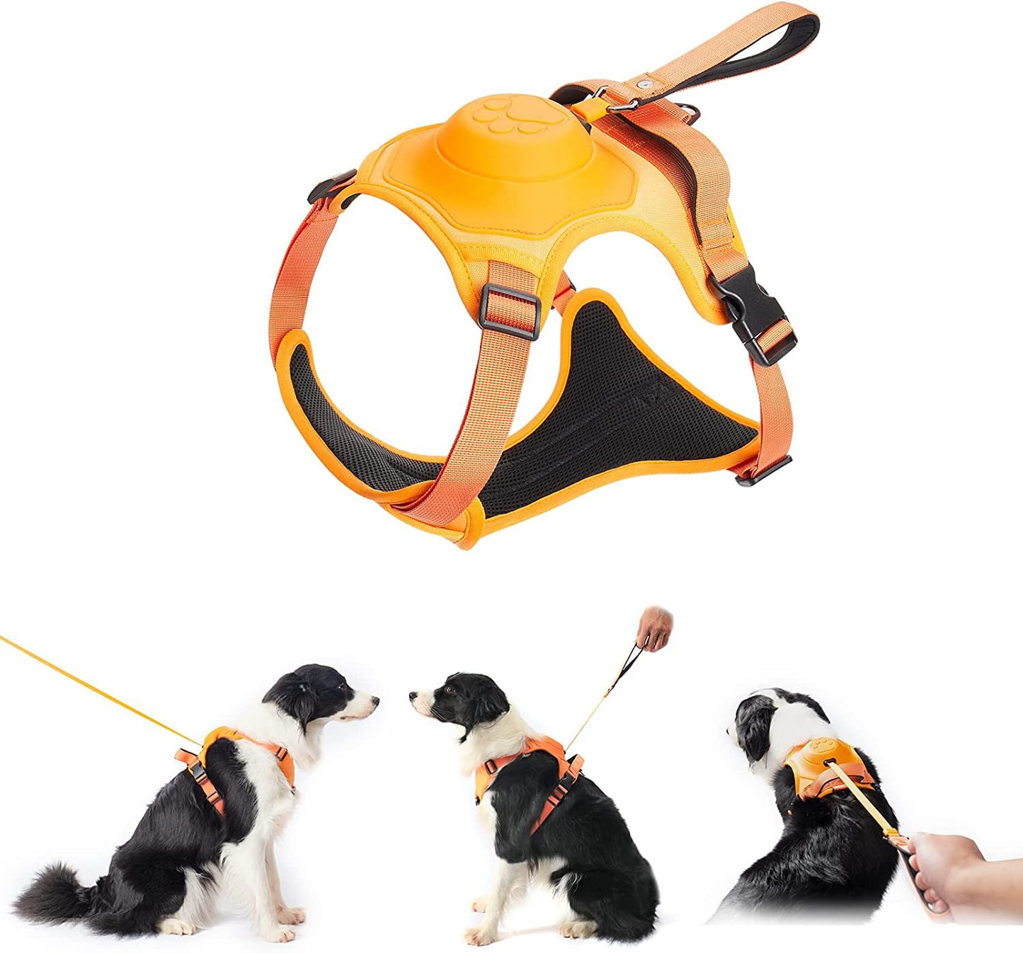 HOT SALE🔥Dog harness and retractable lead in one set