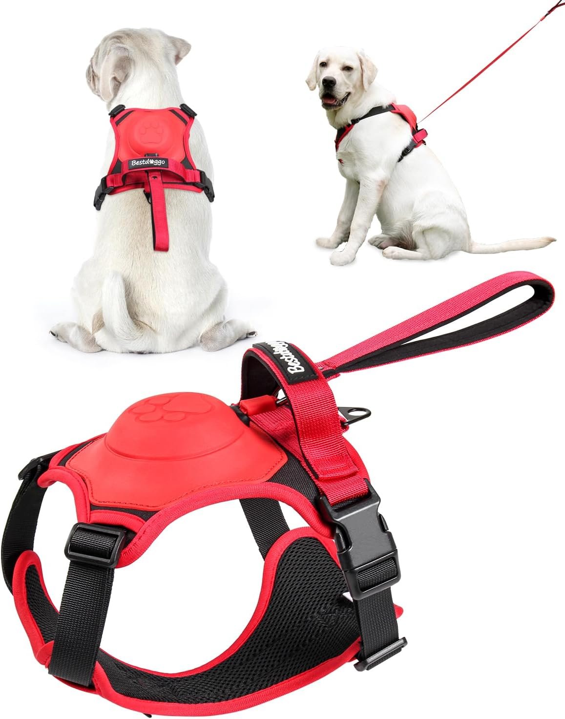 HOT SALE🔥Dog harness and retractable lead in one set