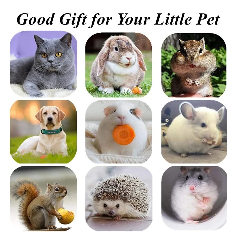 DJIWJDCDA Natural Silvervine Stick Cat Chew Toy