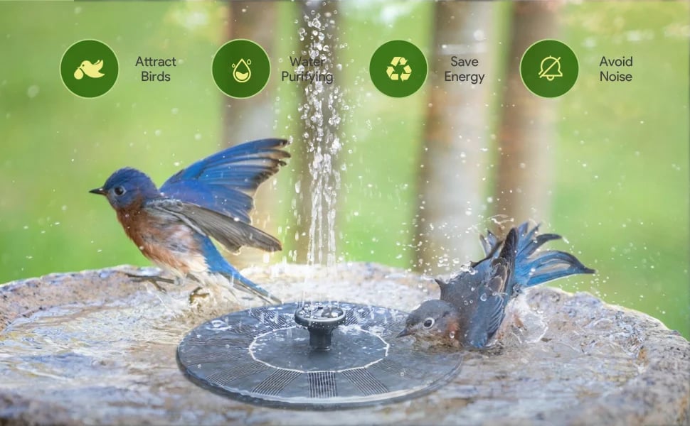 LAST DAY 49% OFF🔥Solar-Powered Bird Fountain Kit
