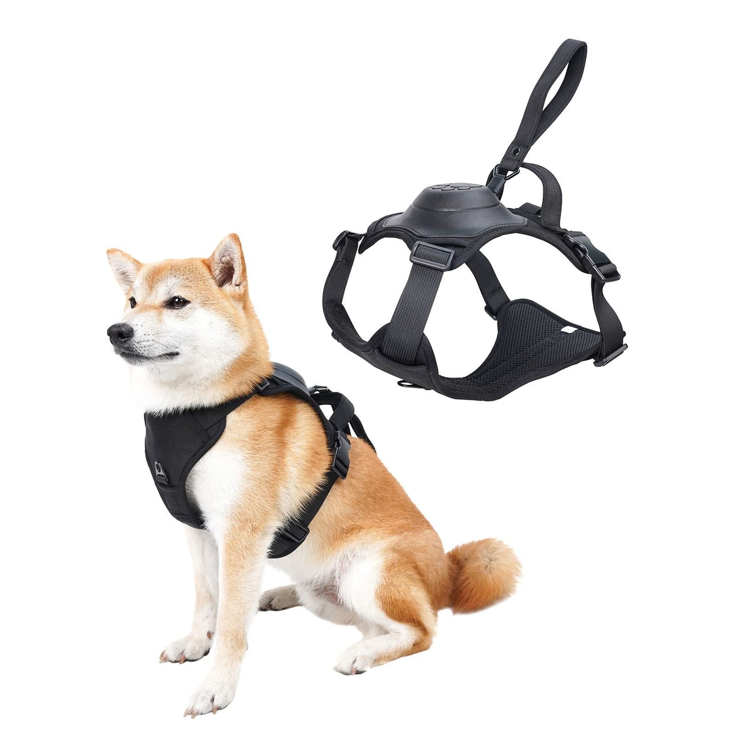HOT SALE🔥Dog harness and retractable lead in one set