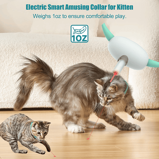DJIWJDCDA (🔥Last Day Promotion- 50% OFF)Electric Smart Amusing Collar for Kitten