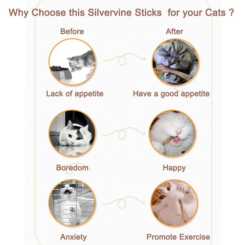 DJIWJDCDA Natural Silvervine Stick Cat Chew Toy