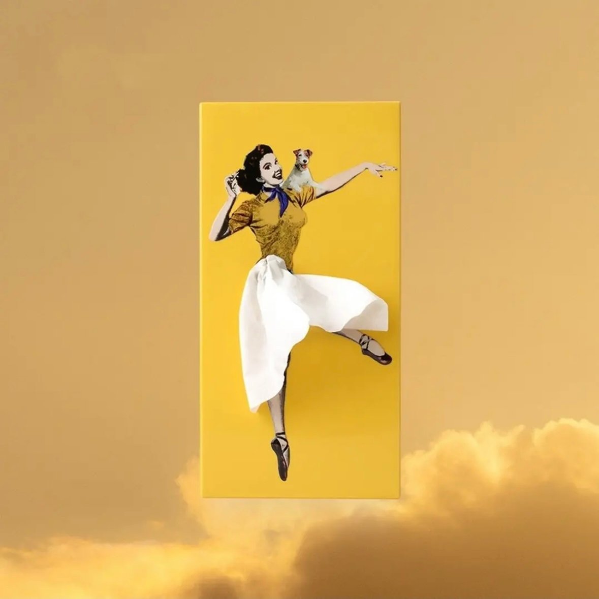 DJIWJDCDA 🎁 Flying Skirt Tissue Box