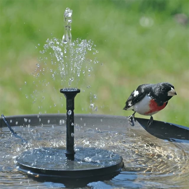 DJIWJDCDA LAST DAY 60% OFF🔥Solar-Powered Bird Fountain Kit