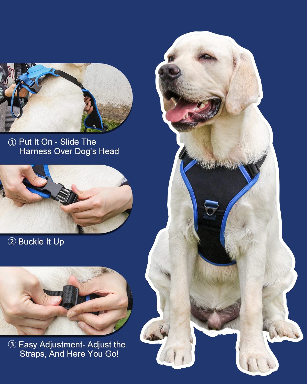 HOT SALE🔥Dog harness and retractable lead in one set