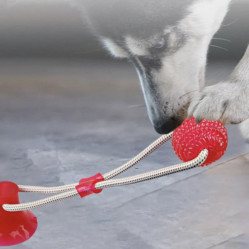 Pet teething toys