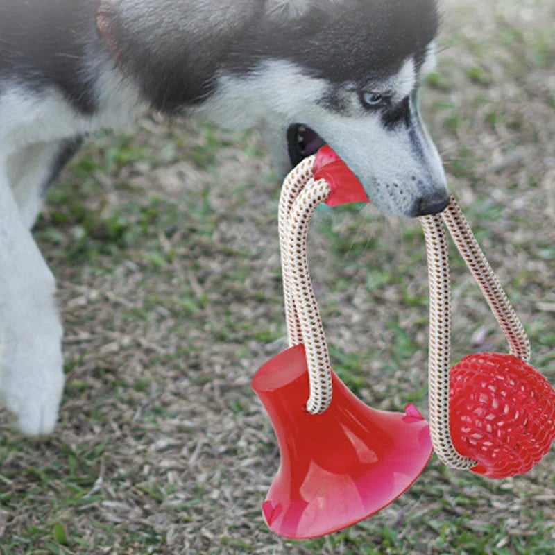 Pet teething toys