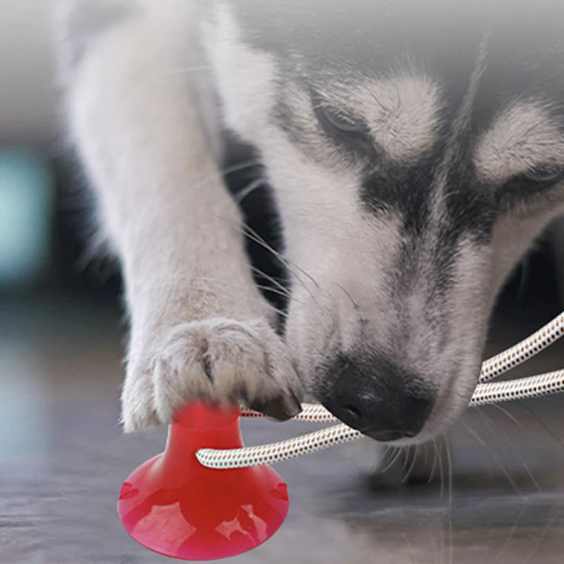 Pet teething toys