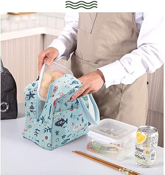DJIWJDCDA HOT SALE🔥INSULATED TIFFIN BAG
