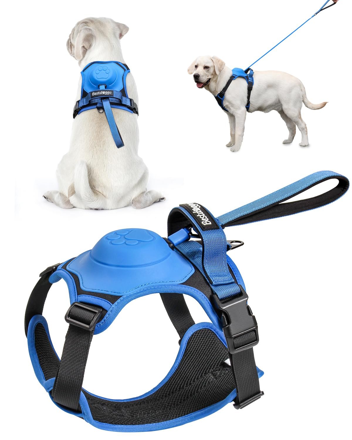 HOT SALE🔥Dog harness and retractable lead in one set